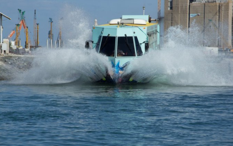 Untitled design (65)