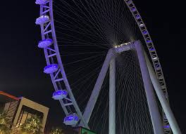 Untitled design (82)