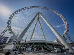 Untitled design (83)